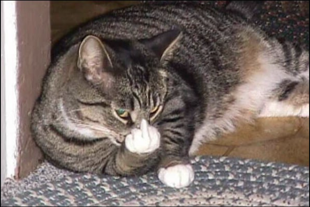 image from http.cat/400